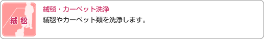 絨毯・カーペット洗浄